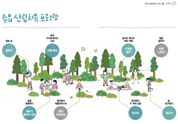 주요 산림치유 프로그램(출처=산림청)