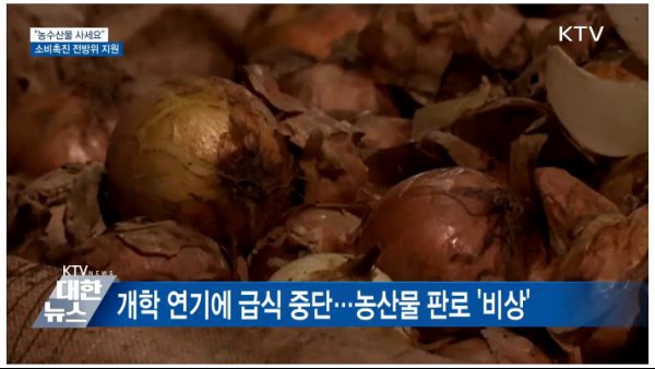급식 남품이 중단되어 농가가 어려움을 겪고 있다는 소식, 출처=KTV