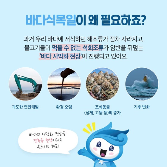 바다에도 식목일이 있다?