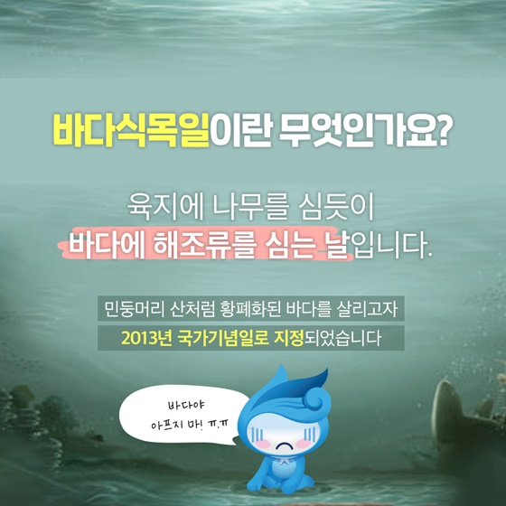 바다에도 식목일이 있다?