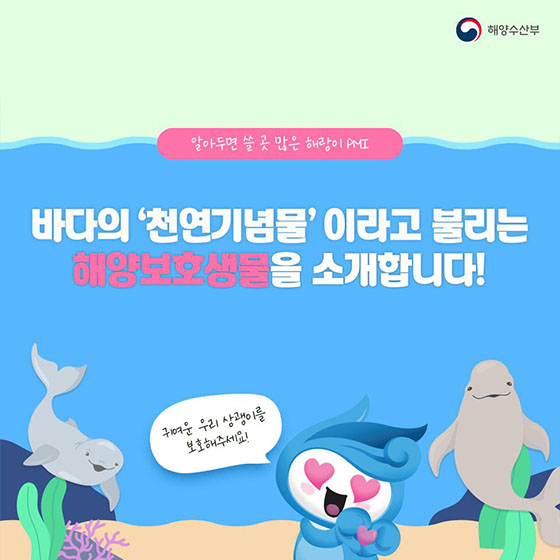 바다의 ‘천연기념물’이라고 불리는 해양보호생물을 소개합니다!