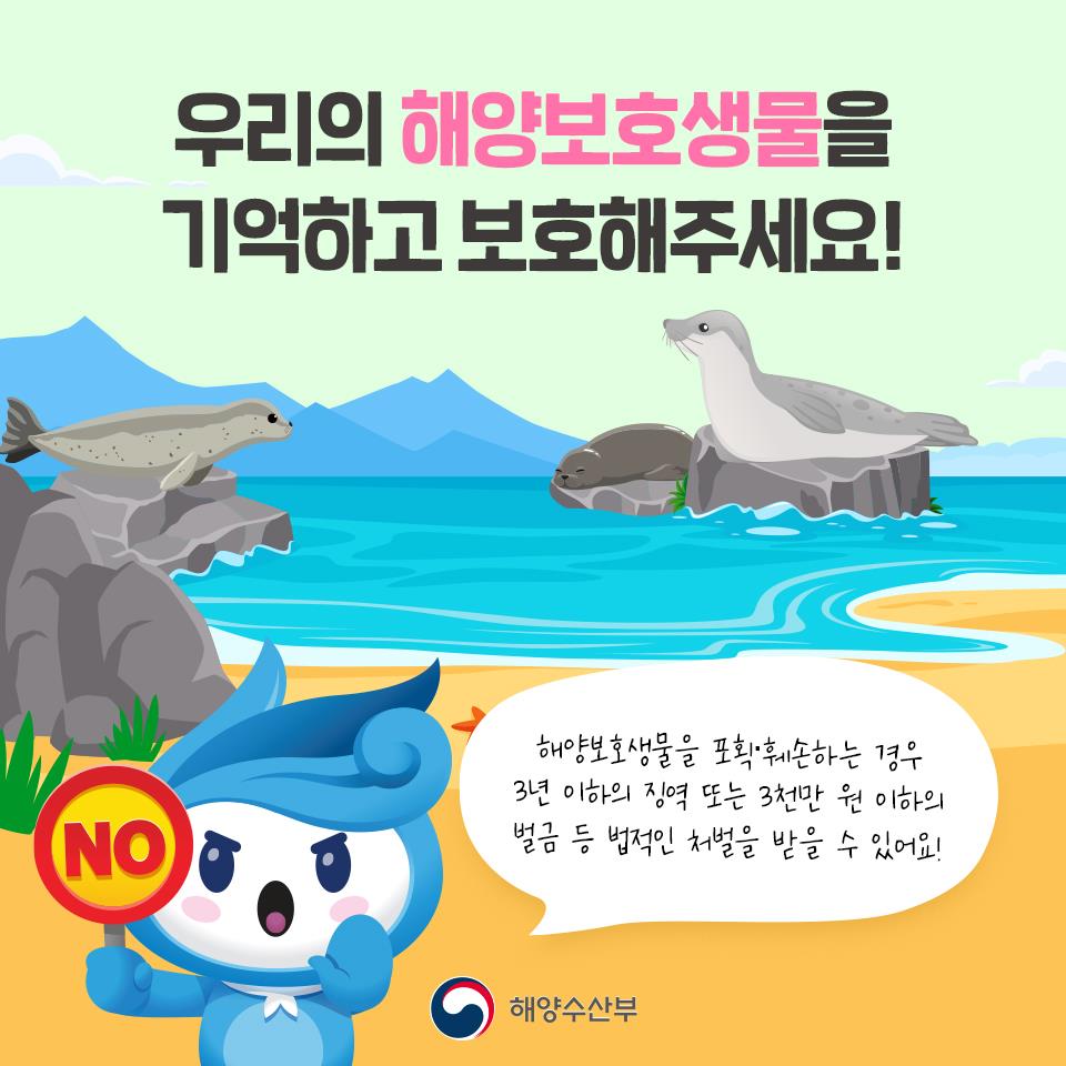 바다의 ‘천연기념물’이라고 불리는 해양보호생물을 소개합니다!