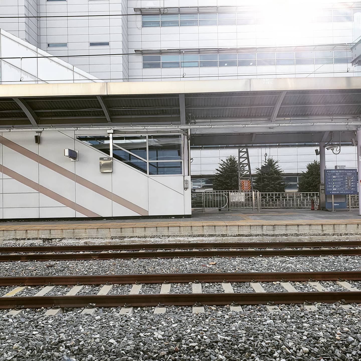 조연희