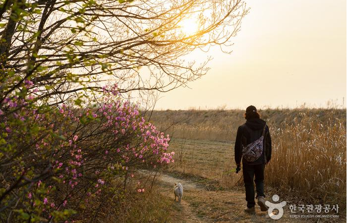 숲길 끝지점