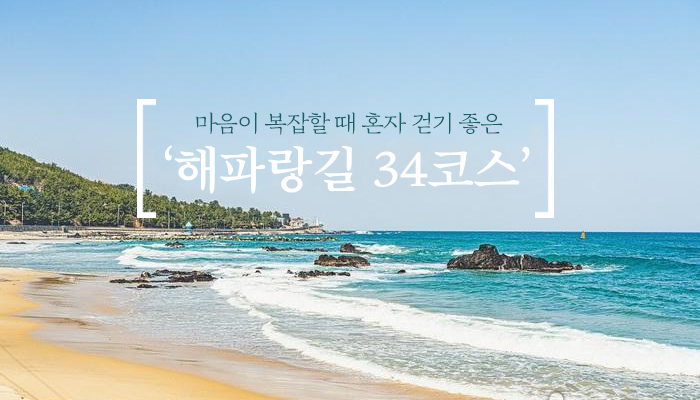 마음이 복잡할 때 혼자 걷기 좋은 ‘해파랑길 34코스’