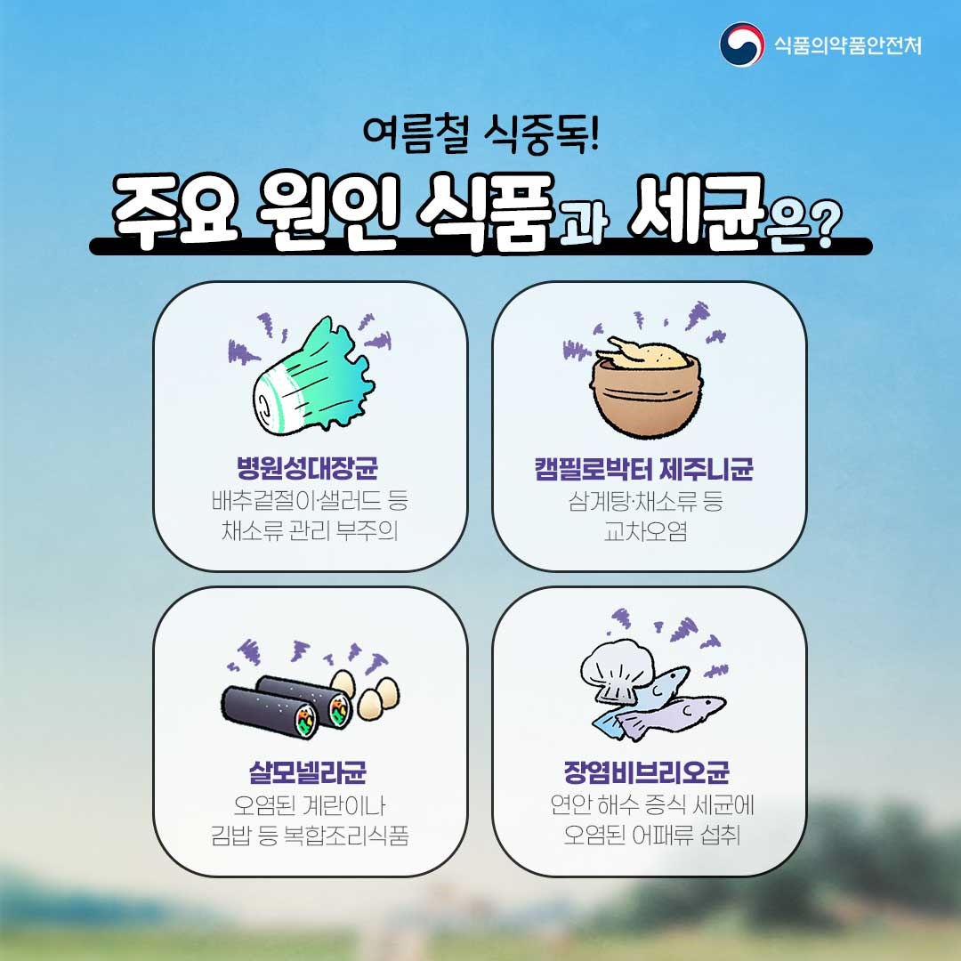 식중독과 장염균의 종류와 예방법에 대해 알아본다.