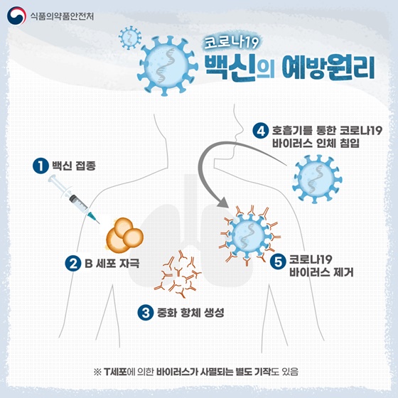 코로나19 백신 종류 및 예방원리