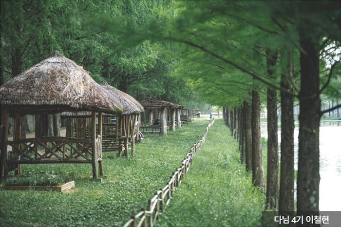 메타세쿼이아길 - 다님4기 이철현