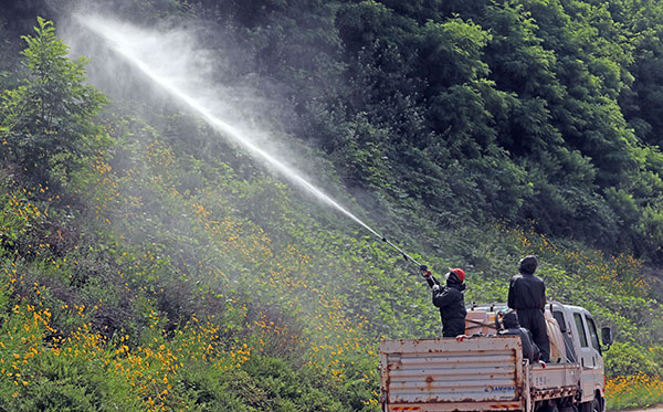 돌발 해충이 발생한 한 지역에서 방제 작업이 진행되고 있다.(사진=저작권자(c) 연합뉴스, 무단 전재-재배포 금지)