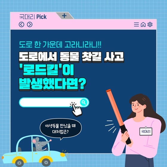 도로에서 동물 찻길 사고 ‘로드킬’이 발생했다면?