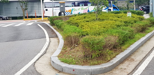 원활한 교통흐름을 위해 만들어진 교통섬.