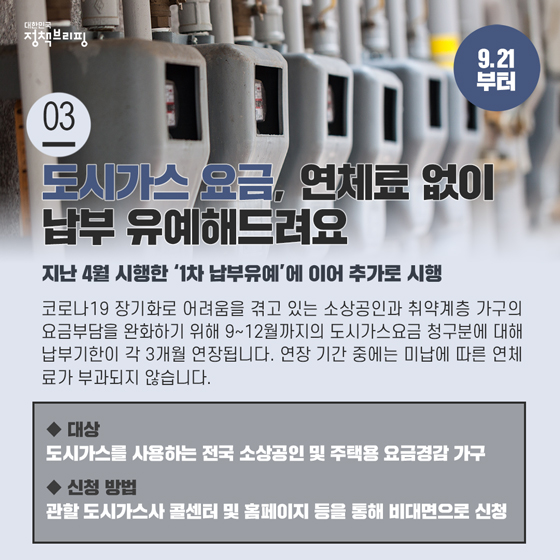 [주간정책노트] 최대 10만원! 유기동물을 입양하면 입양비를 지원합니다