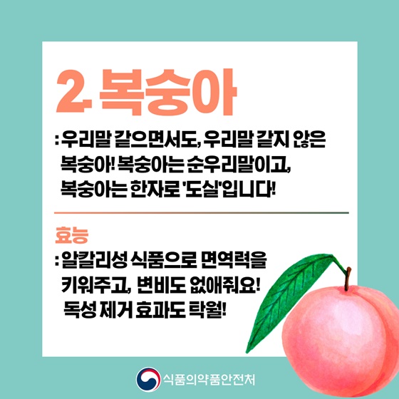 10월 9일 한글날 맞이! 순우리말 과일 이름은?