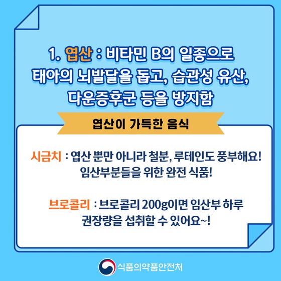 임산부에게 좋은 3대 영양소는?