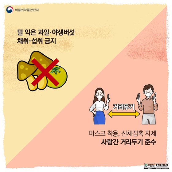 코로나 시대, 식중독을 이기는 건강 나들이 수칙