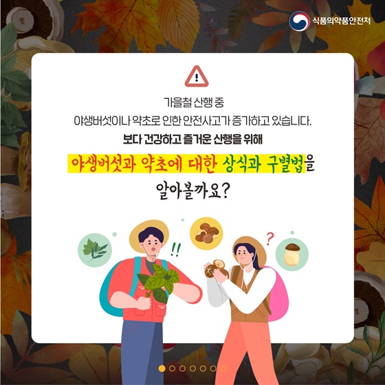 가을철 산행 중 주의해야 할 야생버섯과 약초