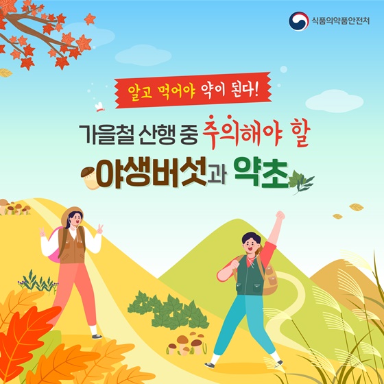 가을철 산행 중 주의해야 할 야생버섯과 약초