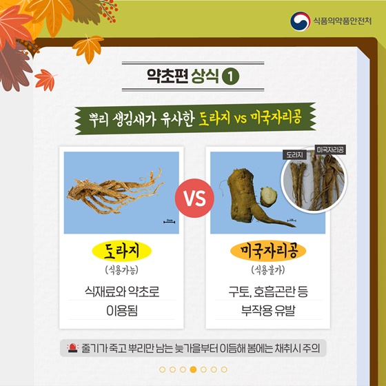 가을철 산행 중 주의해야 할 야생버섯과 약초