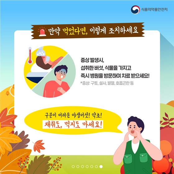 가을철 산행 중 주의해야 할 야생버섯과 약초