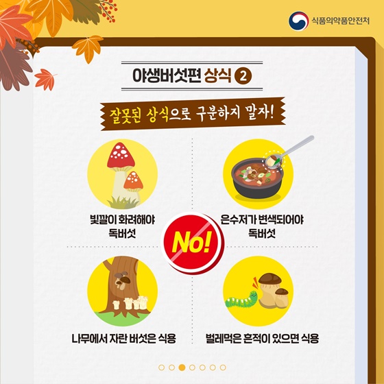 가을철 산행 중 주의해야 할 야생버섯과 약초