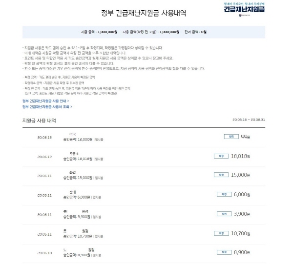 난 지난 5월에 온라인으로 카드사에 신청해 6월에 100만원(4인 기준) 전부 사용했다.