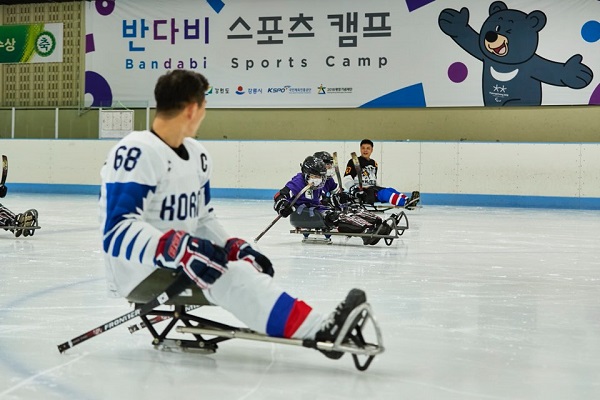 12일 전국에서 온 초중등 학생들이 평창과 강릉에서 진행 중인 ‘수호랑 반다비 캠프’에 참여하고 있다.