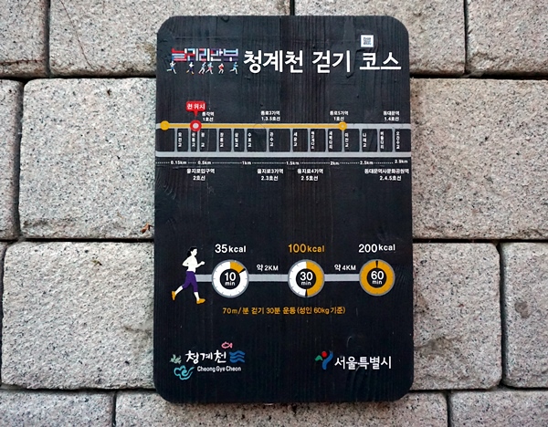 여기저기서 걸으란다. 걷다가 이런 표시를 보면 조그맣게 응원을 받는 듯싶다.