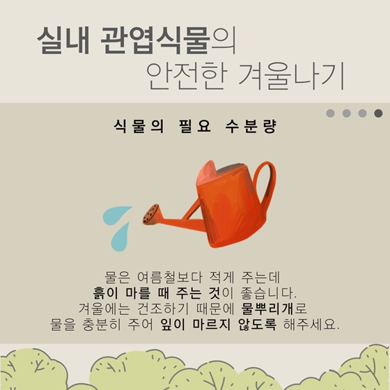 슬기로운 관엽식물 겨울 관리법