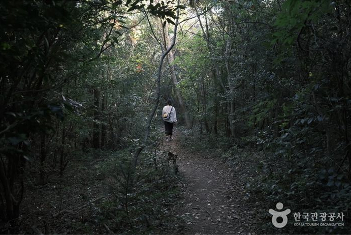 미지의 세계로 떠나는 듯할 발걸음