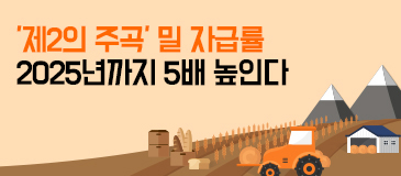 7. ‘제2의 주곡’ 밀 자급률 2025년까지 5%로 높인다…지금의 5배로