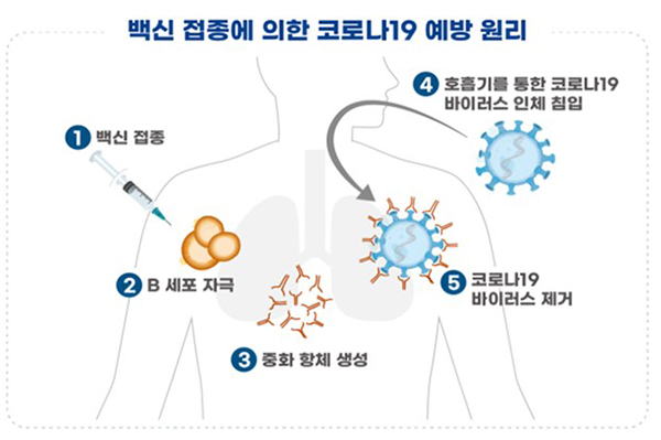 (출처=식품의약품안전처)