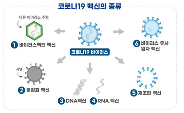 (출처=식품의약품안전처)