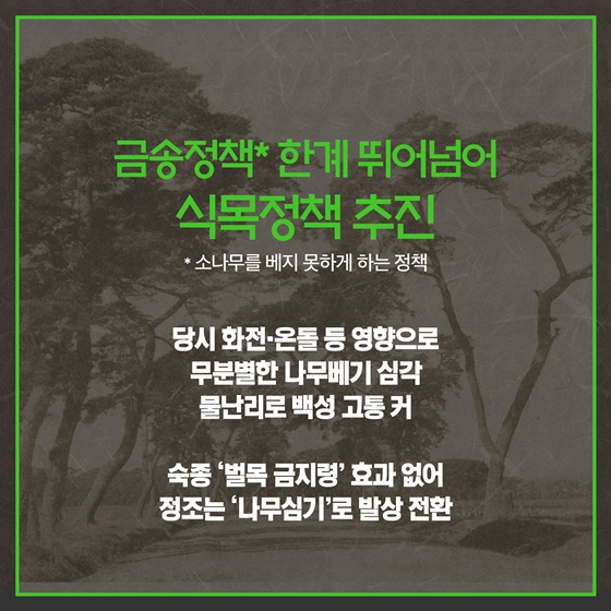 역사 속 ‘한국판 뉴딜’ 이야기 ② 정조의 뉴딜 정책, 나무 심기