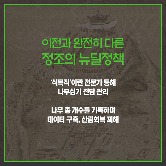 역사 속 ‘한국판 뉴딜’ 이야기 ② 정조의 뉴딜 정책, 나무 심기