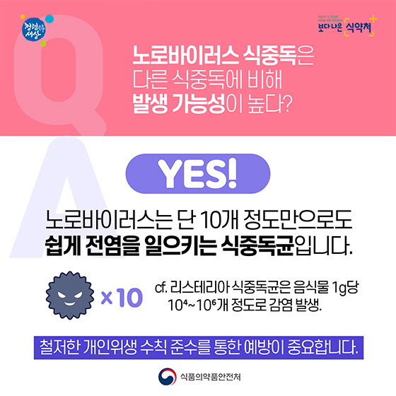 [Q&A] 노로바이러스 식중독 바로알기