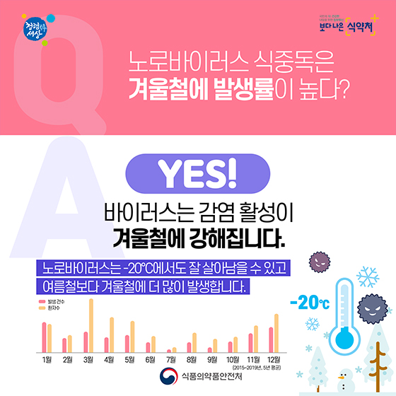[Q&A] 노로바이러스 식중독 바로알기