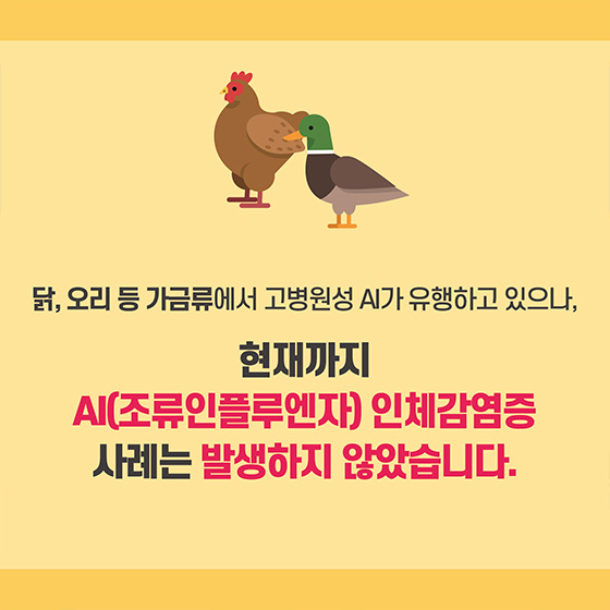 닭고기, 달걀, 오리고기 안심하고 드세요!