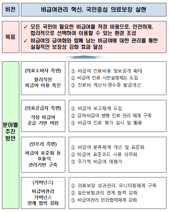 비급여관리강화 종합대책 비전 및 추진방안