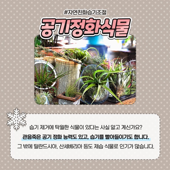 결로방지를 위한 실내 습도 관리 꿀팁