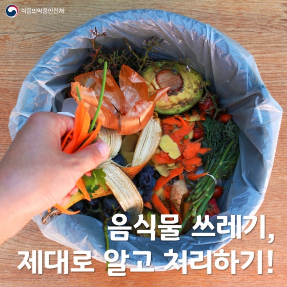 음식물 쓰레기, 제대로 알고 처리하기!