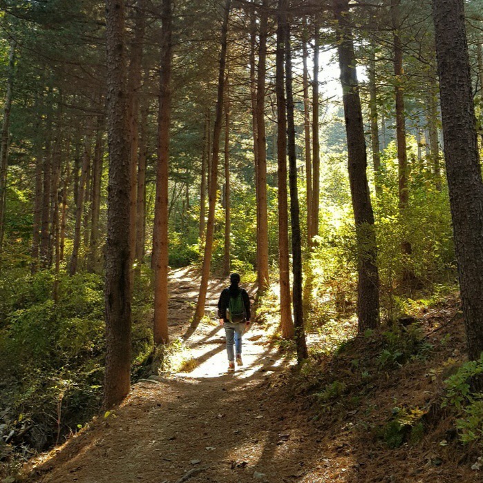 정책기자단 이주영 사진