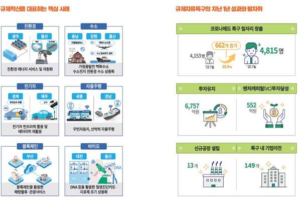 규제자유특구의 핵심사례와 성과.