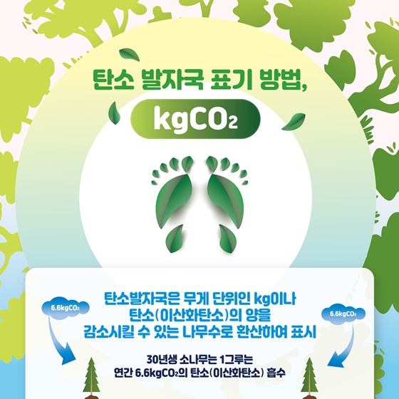 탄소 발자국 표기 방법, kgCO2