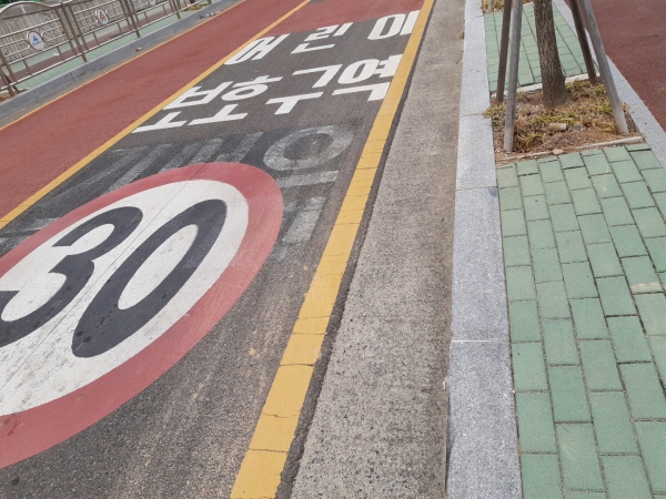 도로 위 어린이 보호 구역 30km 미만 주행이 적혀있다.