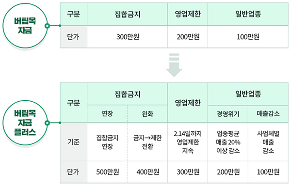 ‘버팀목자금 플러스’ 지원유형 및 지원금.