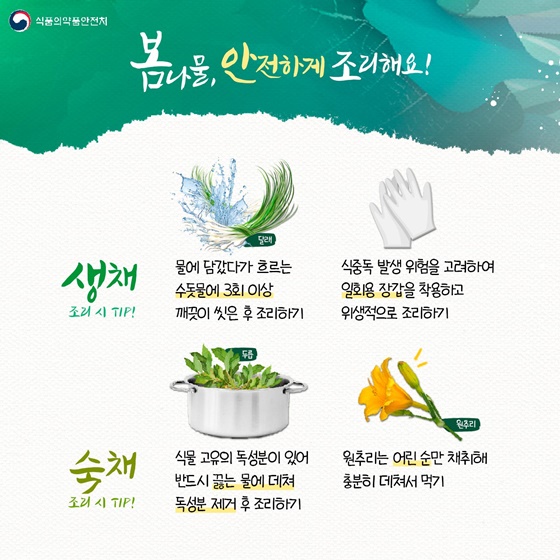 봄나물, 안전하게 조리해요!