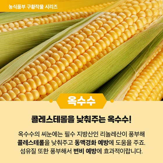 [옥수수] 콜레스테롤을 낮춰주는 옥수수!