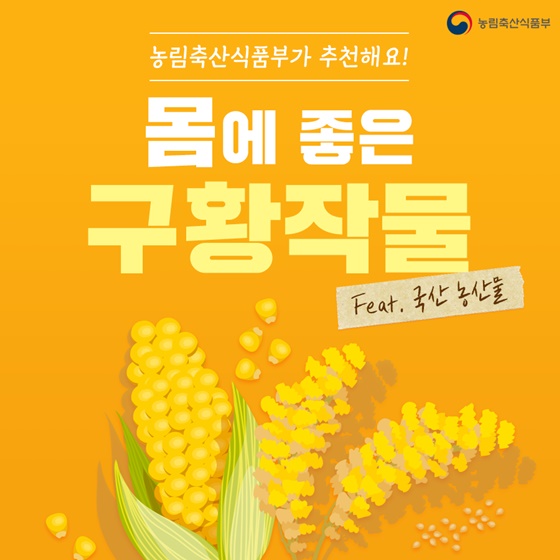 몸에 좋은 구황작물 Feat. 국산 농산물