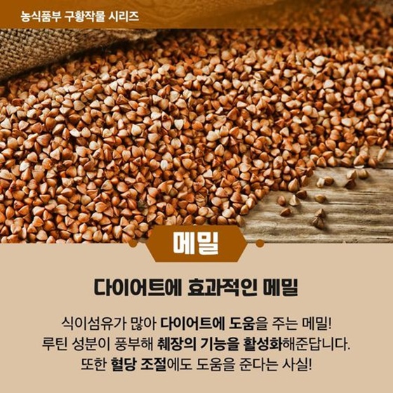[메밀] 다이어트에 효과적인 메밀