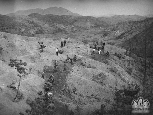 전쟁으로 황폐해진 민둥산의 모습입니다.